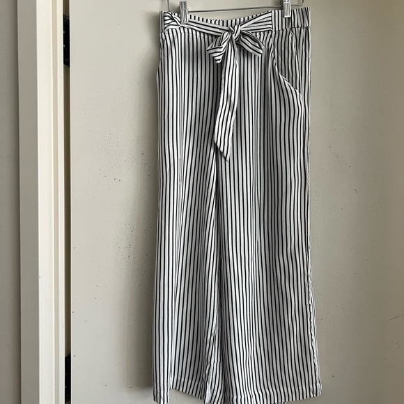 ARITZIA Wilfred Faun Pants in Black Stripe - Picture 7 of 11